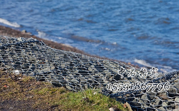 雷諾護(hù)墊 雷諾護(hù)墊