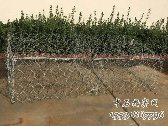 雙隔板雷諾護墊 雙隔板雷諾護墊