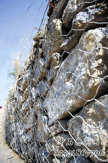 生態(tài)格網(wǎng).jpg 生態(tài)格網(wǎng).jpg