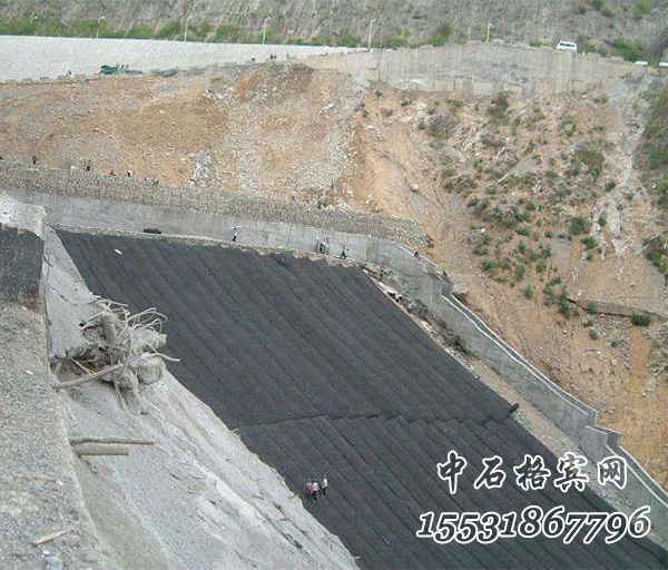 鍍高爾凡加筋麥克墊護(hù)坡.jpg 鍍高爾凡加筋麥克墊護(hù)坡.jpg