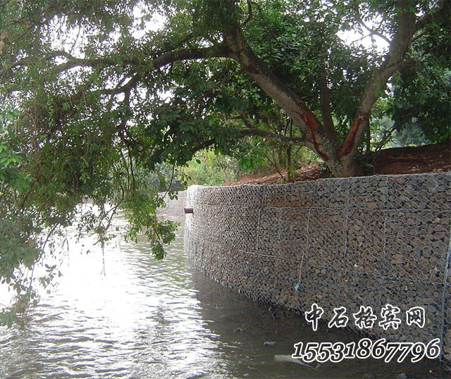 鍍高爾凡格賓網 鍍高爾凡格賓網