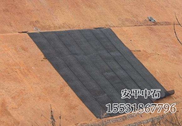 加筋麥克墊護坡.jpg 加筋麥克墊護坡.jpg