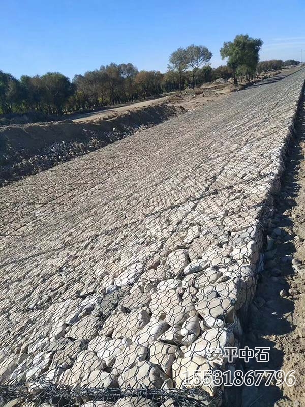 雷諾護(hù)墊 雷諾護(hù)墊