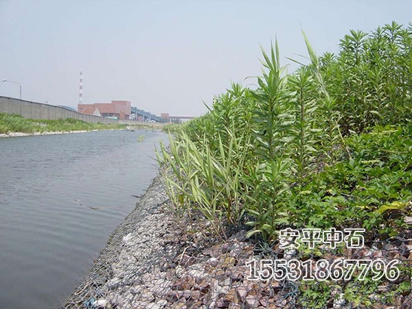 綠濱墊護坡.jpg 綠濱墊護坡.jpg