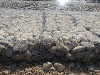 雷諾護(hù)墊 雷諾護(hù)墊