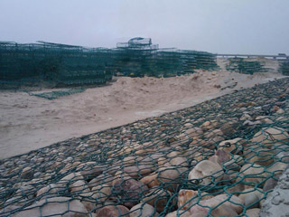 綠格網墊 綠格網墊