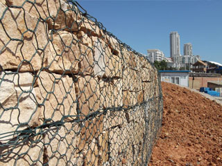 生態格網 生態格網