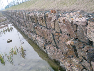 生態格網 生態格網