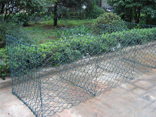 生態格網 生態格網