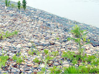 生態格網護墊 生態格網護墊